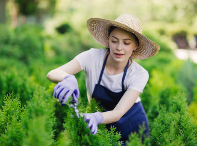 7 idées de haies écologiques pour votre jardin
