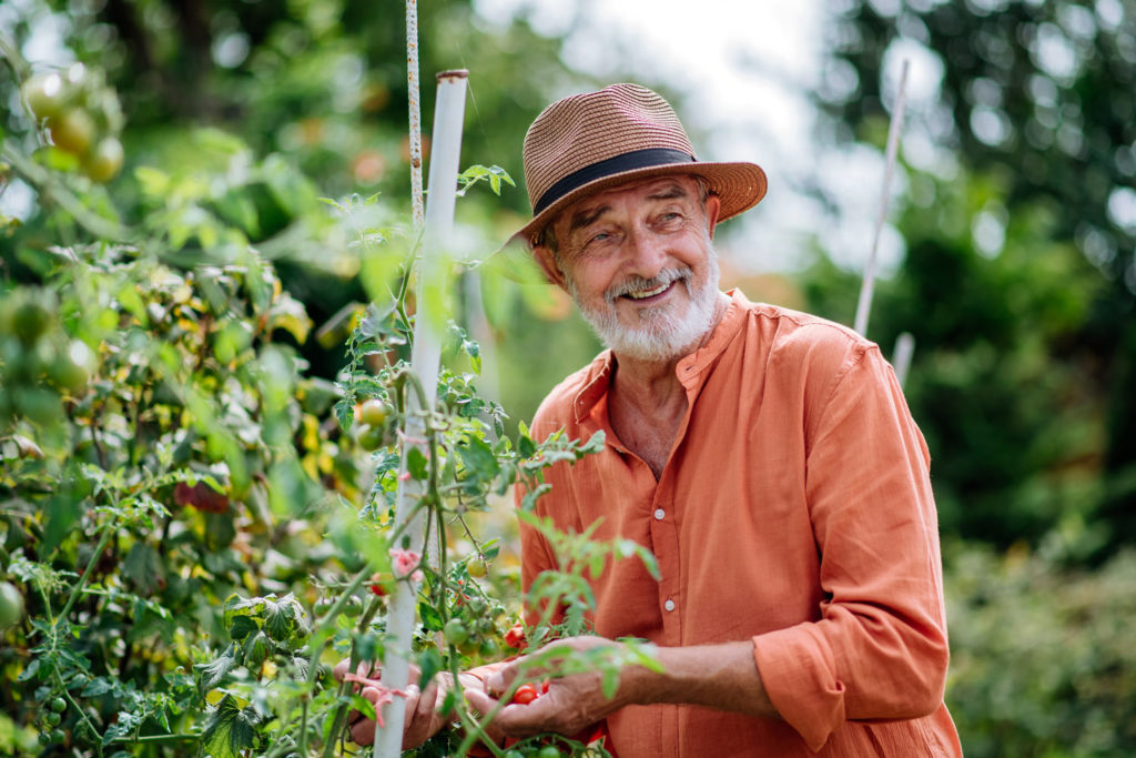 boostez vos récoltes au potager avec ces conseils ultra-simples