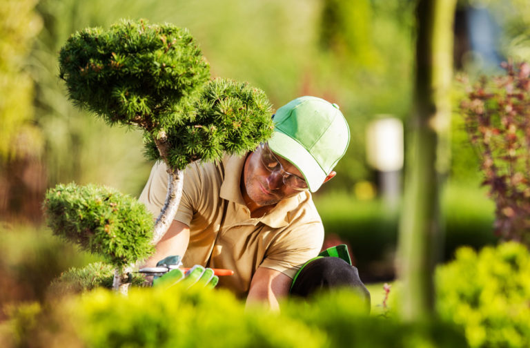 3 travaux de jardinage à "éviter" par temps chaud