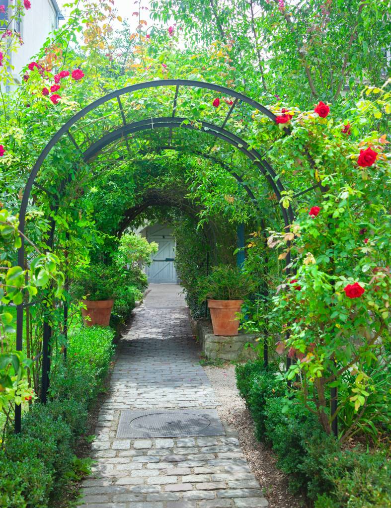 Jardin suspendu plantes