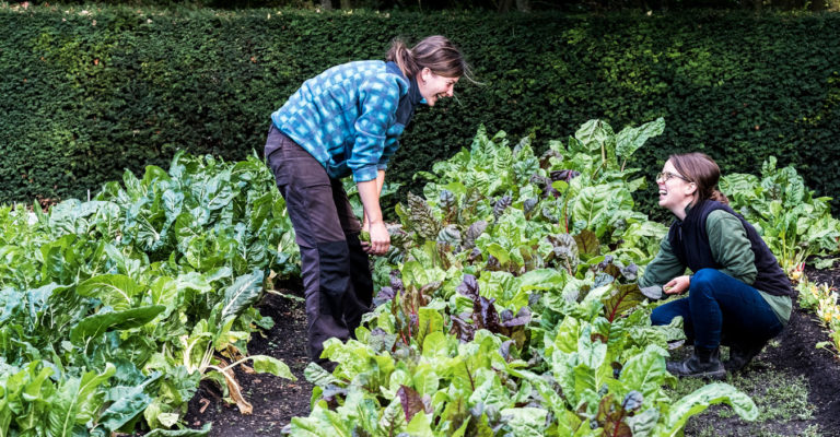 créer votre jardin agroécologique