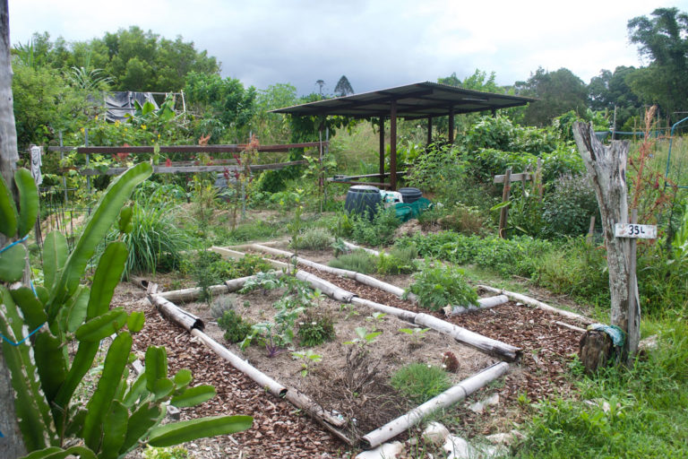 Initiation à la permaculture