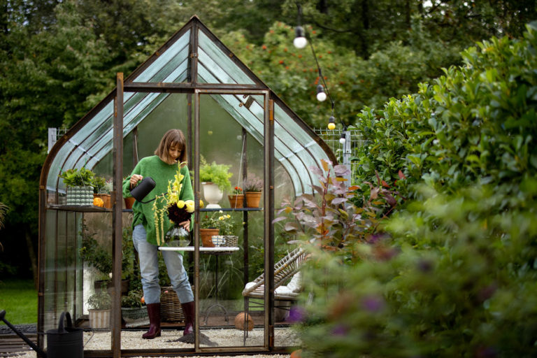 utiliser une mini-serre dans son jardin