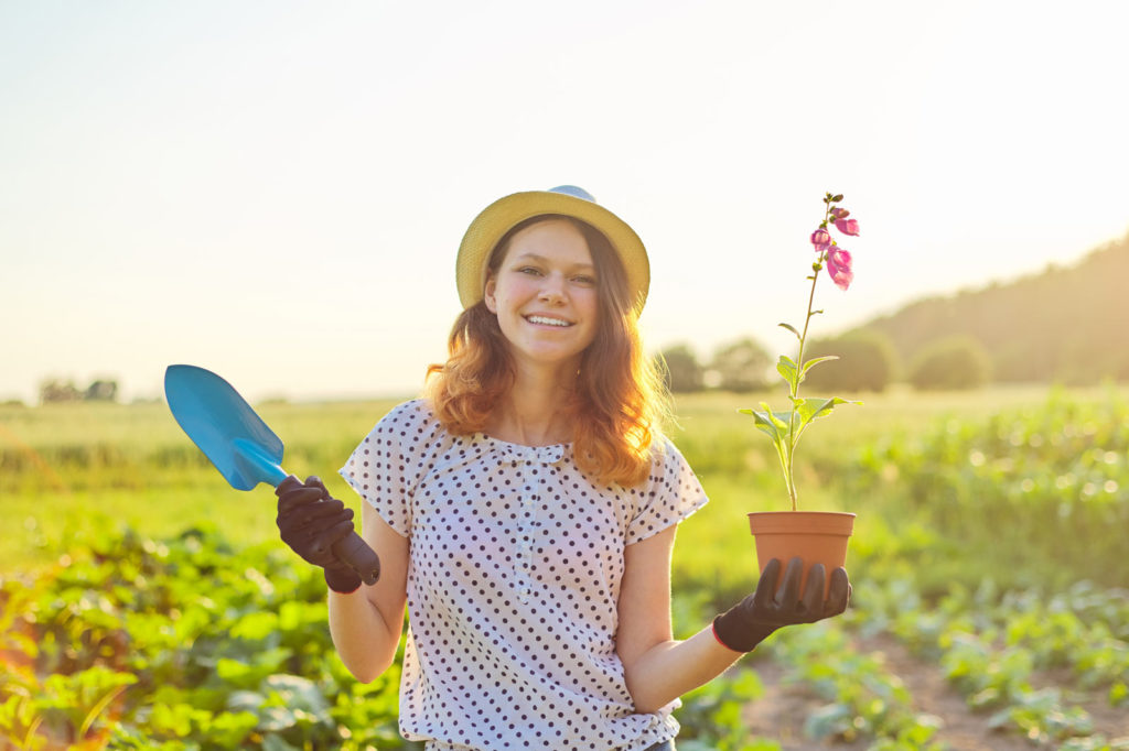 15 fleurs à planter en juillet dans votre jardin