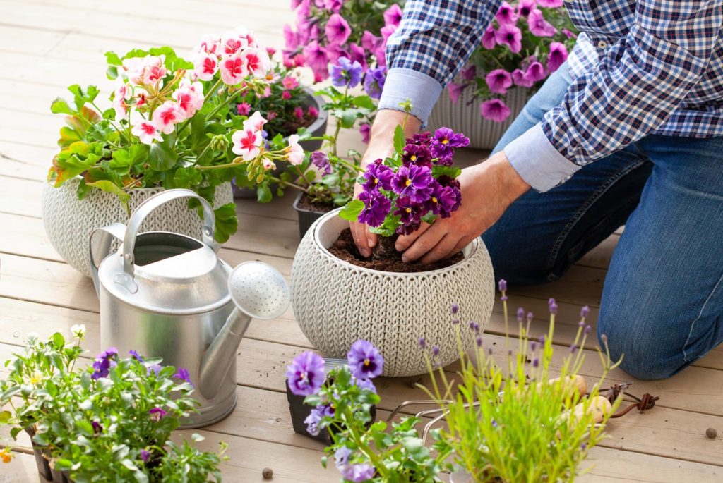 la tendance des plantes en pots sur terrasse