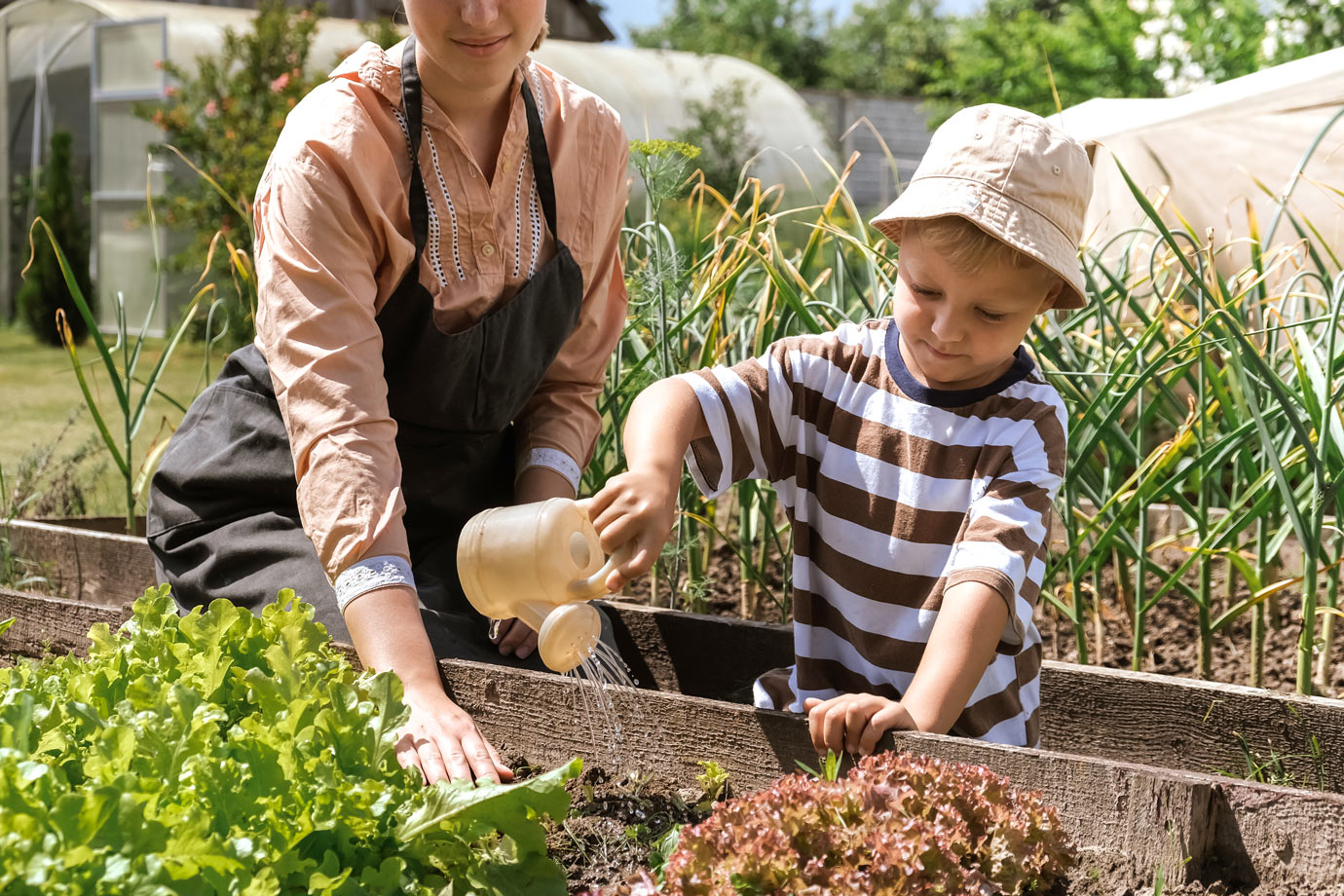 Comment faire un jardin potager: 5 étapes à suivre 