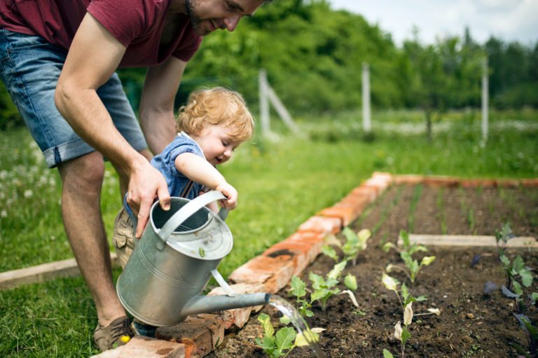 Sécheresse et restrictions d'eau : les 9 plantes et arbres à arroser en priorité