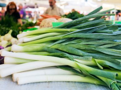 La culture du poireau au potager de la semis à la récolte
