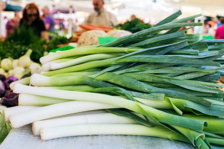 La culture du poireau au potager de la semis à la récolte