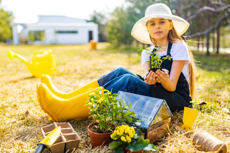 Les travaux essentiels du jardin en juillet pour préparer l'été