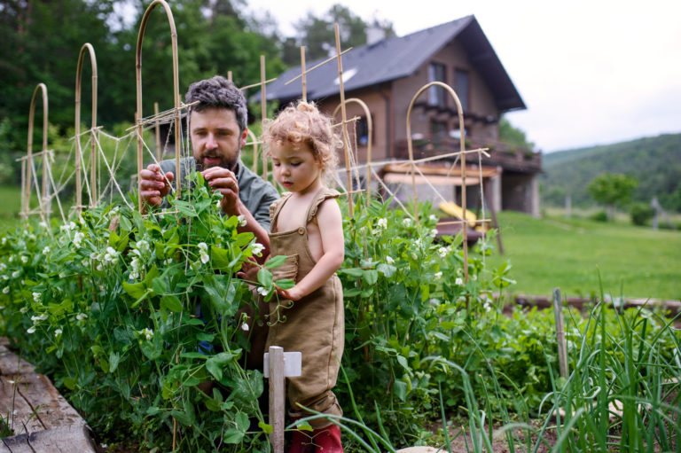 un treillis pour carré potager DIY