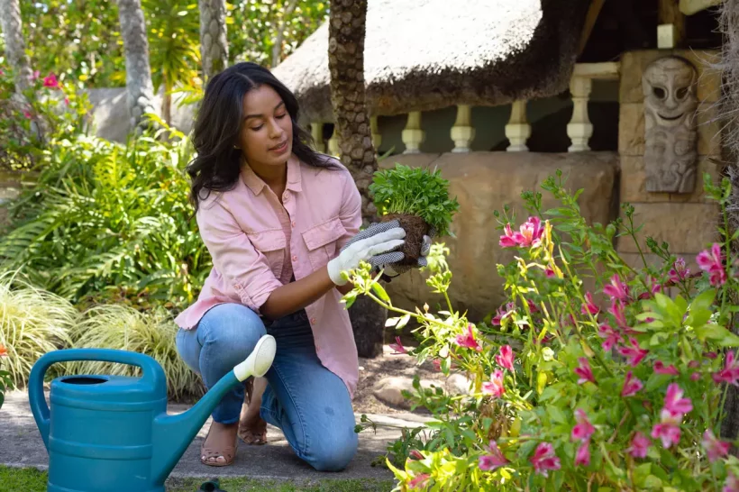 Découvrez la règle secrète des 3 heures de jardinage qui transformera votre jardin