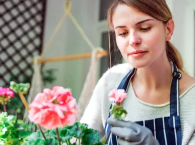 9 plantes pour un balcon fleuri parfait
