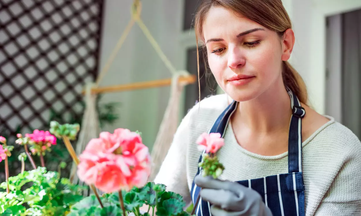 9 plantes pour un balcon fleuri parfait