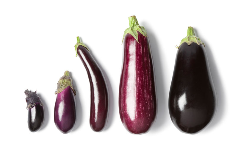 l'aubergine