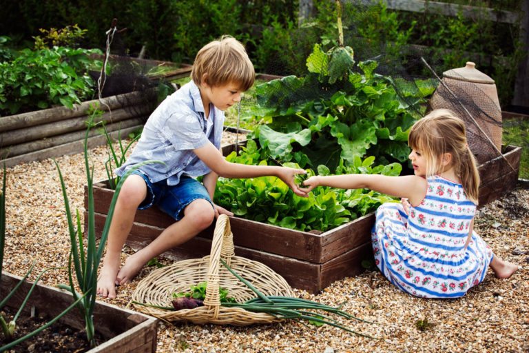 Ne manquez pas ces 9 activités incroyables pour rendre le potager amusant pour vos enfants cet été