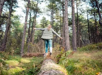 Arbres génétiquement modifiés : la nouvelle arme anti-CO2 ?
