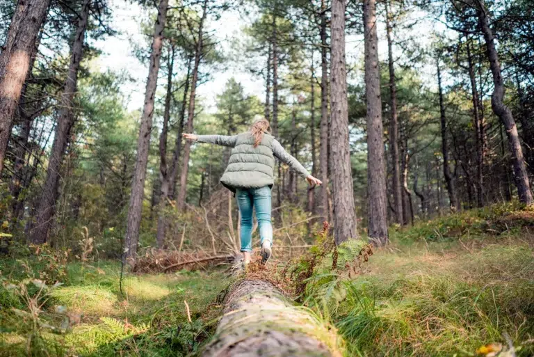 Arbres génétiquement modifiés : la nouvelle arme anti-CO2 ?