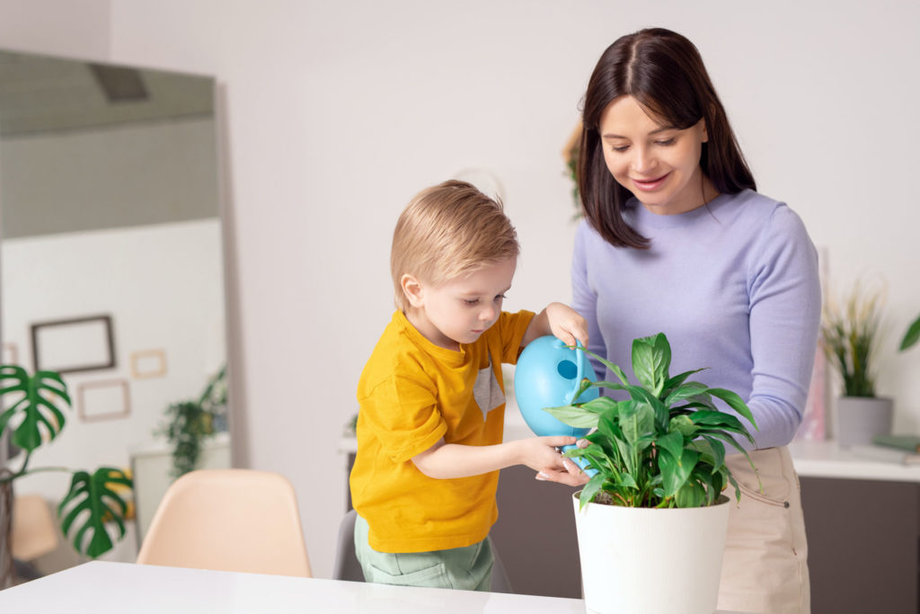 Partir en vacances et garder vos plantes en bonne santé : nos conseils pour l'arrosage intérieur et extérieur