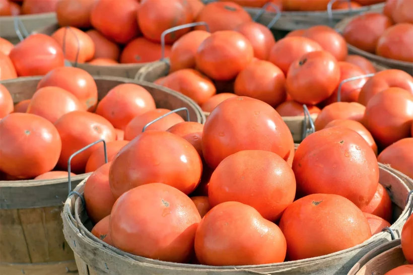 les bienfaits des tomates pour votre santé