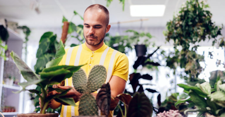 Bouturer une plante avec succès