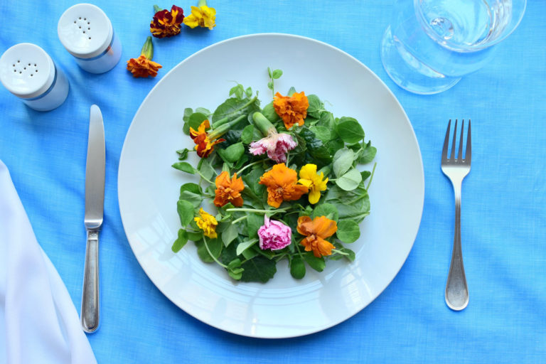 créer un jardin comestibles : quelles fleurs choisir ?