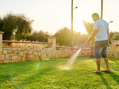 Remplacer votre gazon : 9 alternatives naturelles