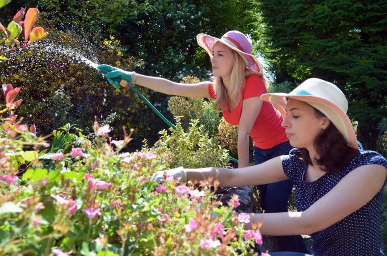 ce qu'il ne faut absolument pas faire au jardin quand il fait trop chaud