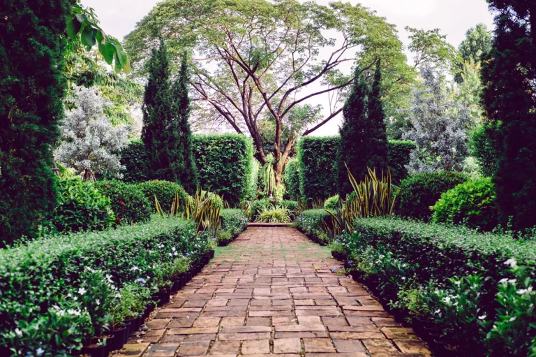 Créez le jardin anglais de vos rêves