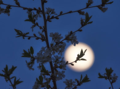 calendrier lunaire d'Aout 2023
