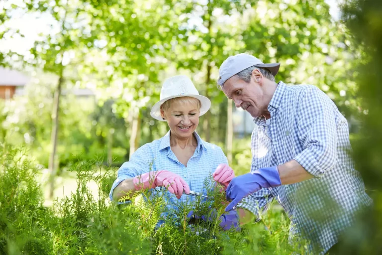 comment bien jardiner quand il fait chaud ?