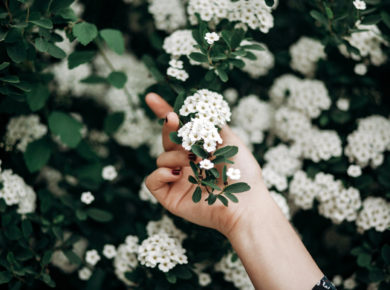 Cultivez votre jardin médicinal cet été pour combattre les inflammations du quotidien