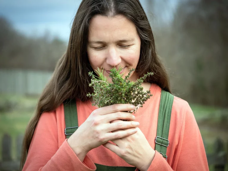 9 plantes vont attirer une horde de moucherons