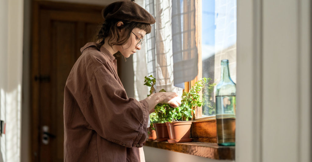 quels sont les signes d'une plante brulée par le soleil ? et que faire ?