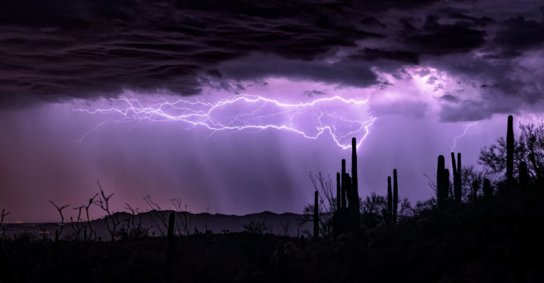 comment protéger le potager des orages d'été