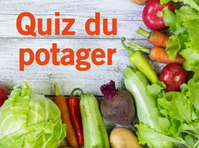 Quiz du potager : connaissez vous l'histoire de ces légumes ?