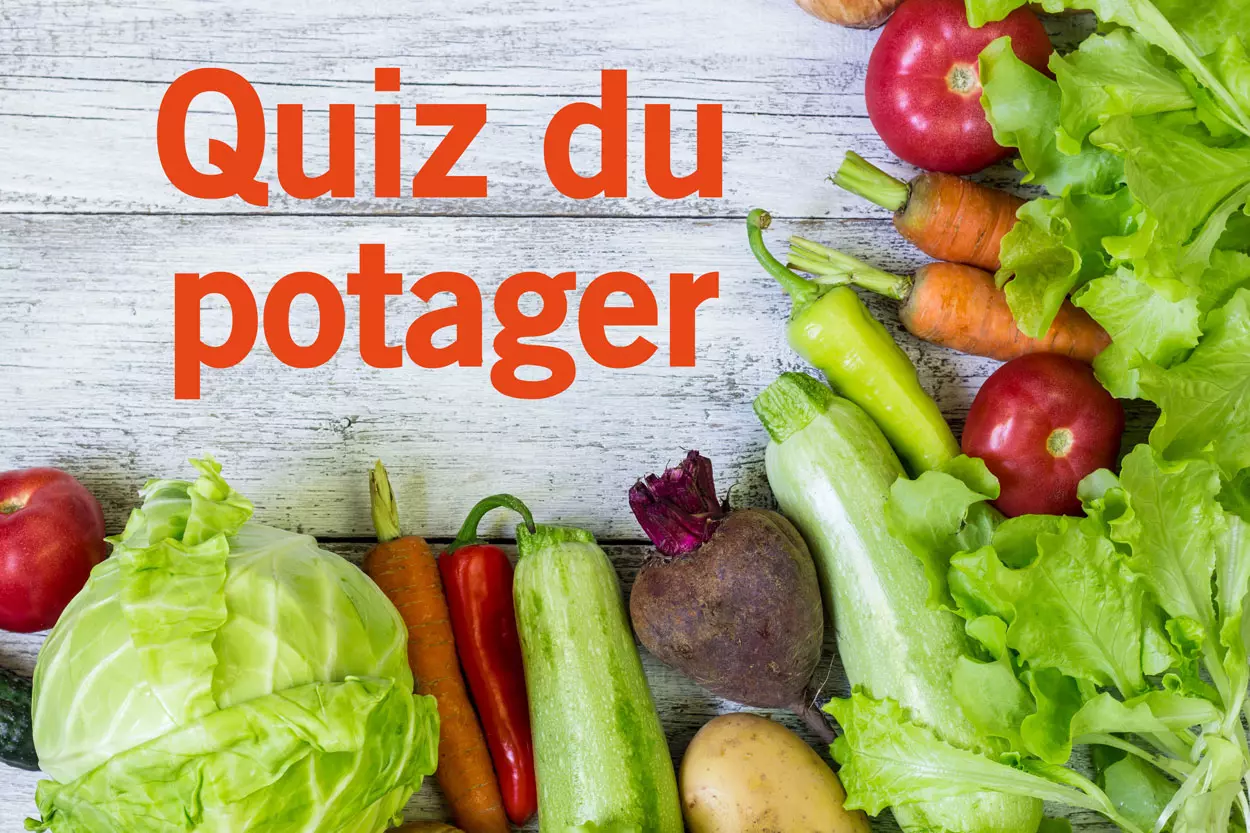 Quiz du potager : connaissez vous l'histoire de ces légumes ?