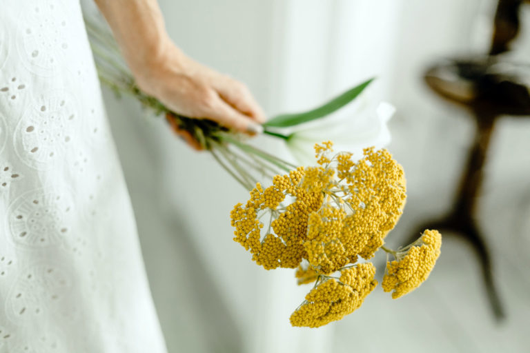 les plantes anti moucherons et mouches à mettre dans une salle de bain