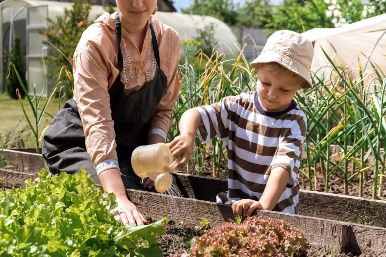 Découvrez les légumes à semer, les plantes à entretenir et les autres travaux du jardin au mois d'aout