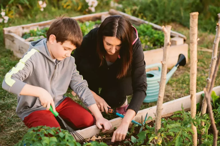 Débutant en jardinage ? Voici les 7 légumes à planter en septembre