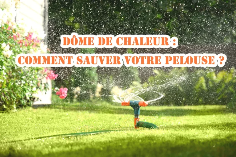 Dôme de chaleur : sauvez votre pelouse avec ces conseils simples et efficaces