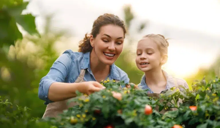 Quels sont les fruits et légumes de saison à cueillir en août ?