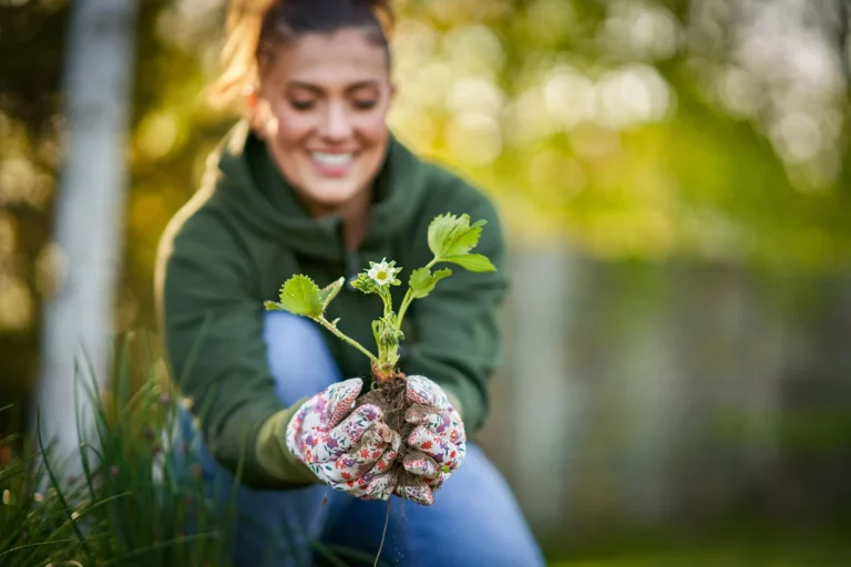 7 conseils pour préparer votre jardin pour l'automne dès aujourd'hui