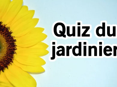 Quiz du jardin : connaissez vous l’origine de ces 5 fleurs ?