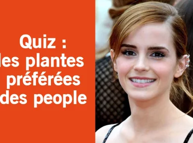 les plantes préférées des People