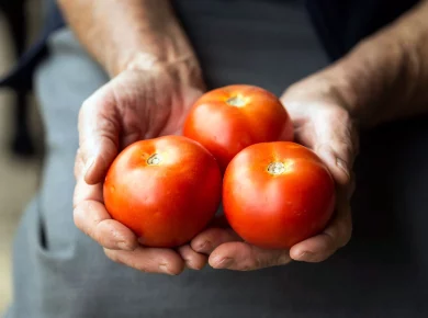 Découvrez les secrets d'une récolte abondante de tomates en août