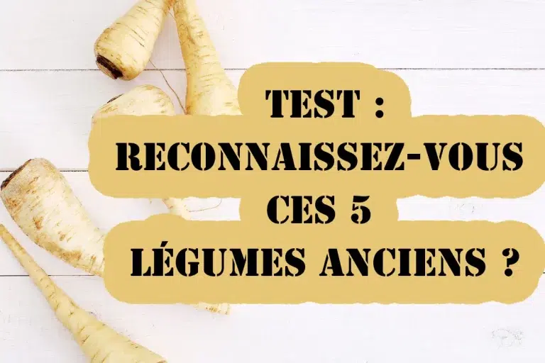 Reconnaissez-vous ces 5 légumes anciens ? Faites le test !