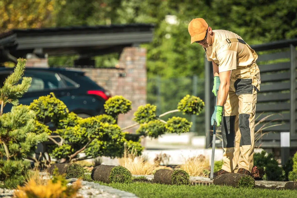 Les 5 tâches incontournables de votre jardin du 1er au 7 septembre