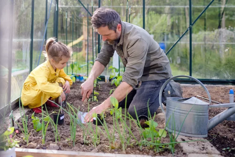 Les 5 incontournables du potager après votre retour de vacances