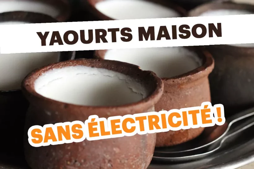 Fabriquez vos yaourts maison sans électricité en 2 minutes